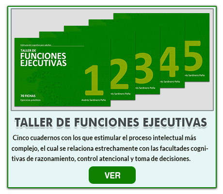 Taller de funciones ejecutivas