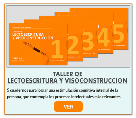 Taller de lectoescritura y visoconstrucción